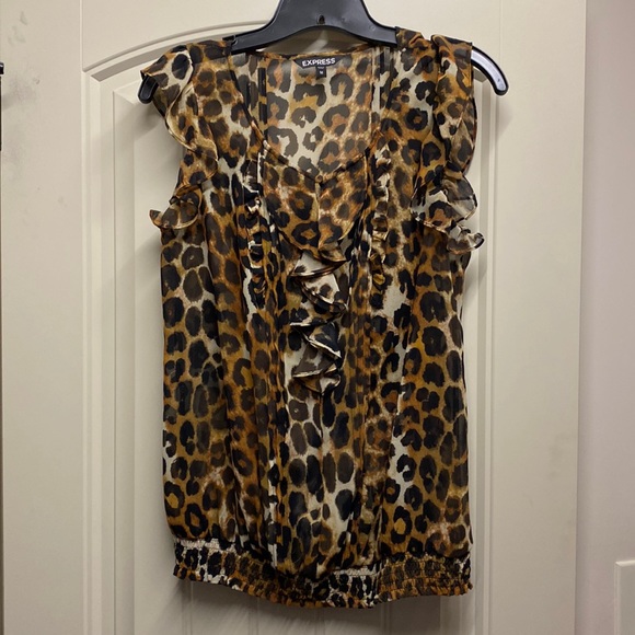 Cheetah Jade Green Sheer Blouse Tied- S main image 0